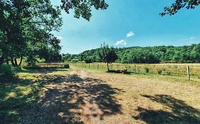 Camping des vignes